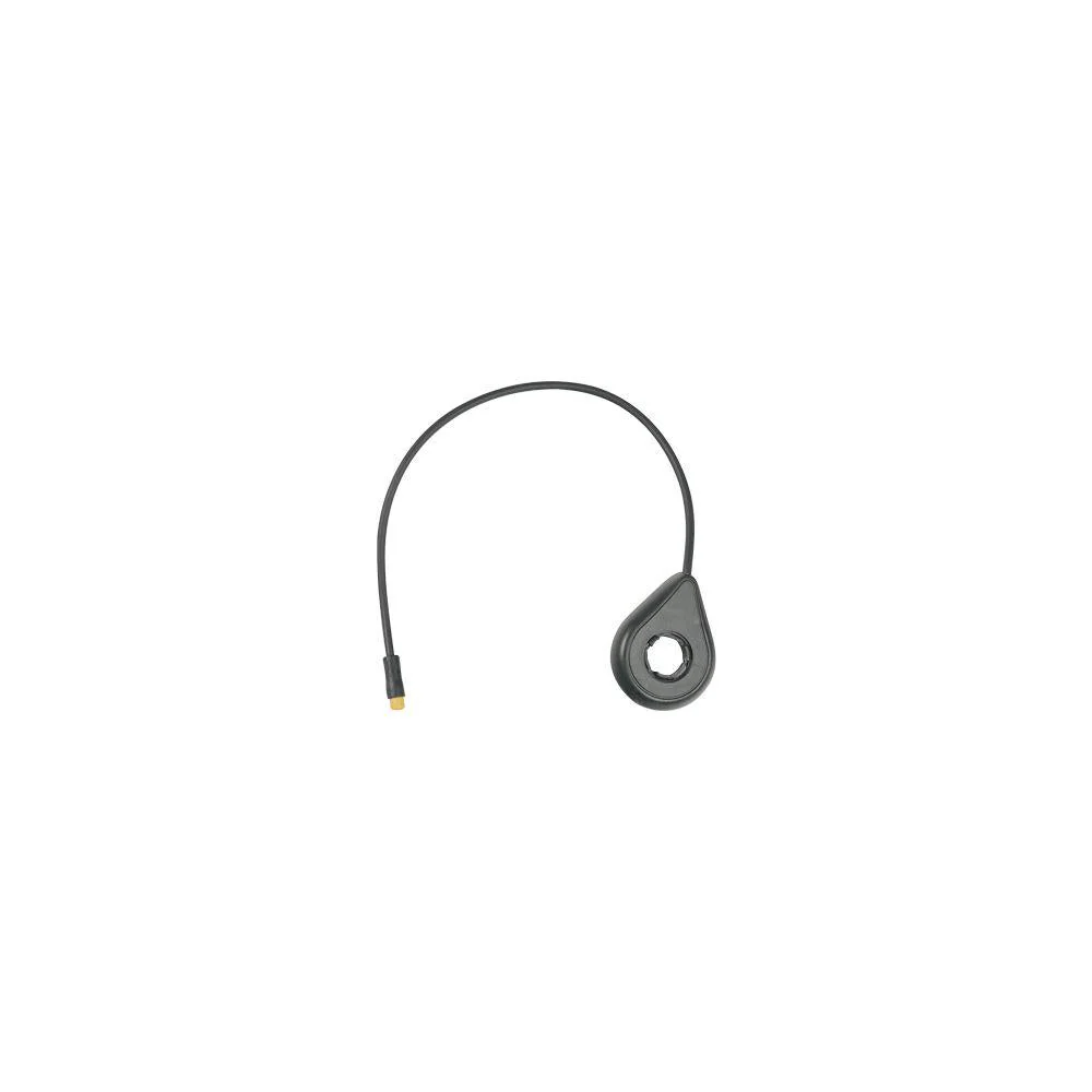 Booster per T2 2024